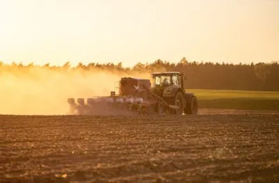 Najczęściej popełniane błędy przed siewem w technologii strip-till